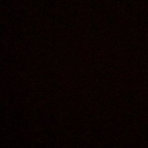 Meet your Posher, Hunter